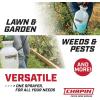 imageChapin 20003 Made in USA 3 Gallon Lawn and Garden Pump Pressured Sprayer for Spraying Plants Garden Watering Lawns Weeds and Pests Translucent White1 Gallon Sprayer