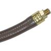 imageChapin International 1530885 Chapin 66091 Industrial Hose with Fittings 48quot